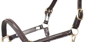 Horse Halter