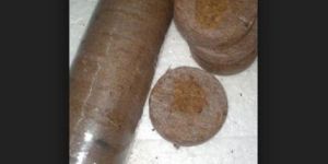 Cocopeat Plugs