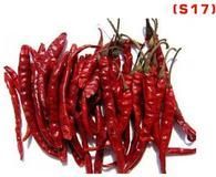 Dry Red Chilli