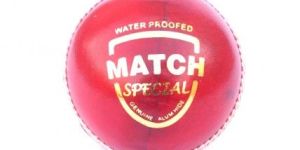 Cricket Ball