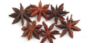 Star Anise