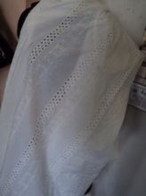 Eyelet Embroidered Fabrics