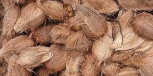 Semi Husked Mature Coconut