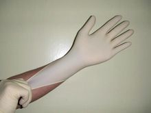 Latex Examination Glove