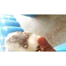 Dendritic Agate Rough Gemstones