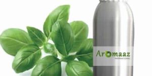 Basil Oil