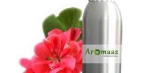 Geranium Oil