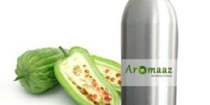 Gurjun Essential Oil