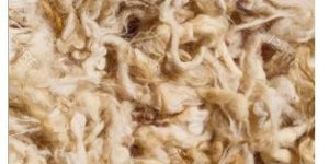 Raw Wool Exporter