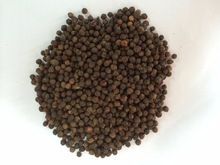 Black Pepper