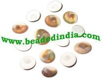 Shiva Eye or Gomti Chakra or Gomati Shel