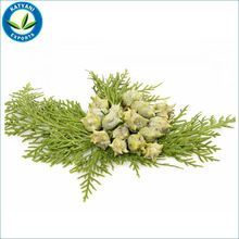 Aromatic Essential Oil