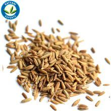 Cumin Oil