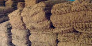 Coir Beds