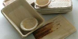 Stable Areca Leaf Plates