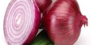 ONION SEEDS MARUTI RED RAJ