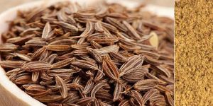 Cumin Seeds