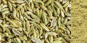 Fennel Seeds