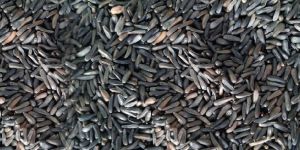 Niger Seeds