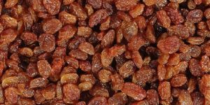 Raisins