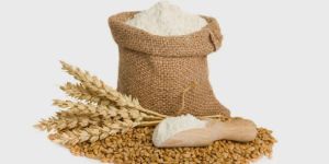 Wheat Flour