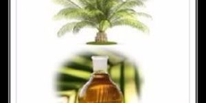 Pure Palm Oil