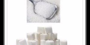 Yellow Corn For Animal Feed