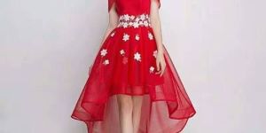 Designer Western Dress