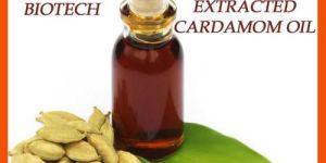 Cardamom CO2 Oil
