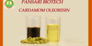 Cardamom Oleoresin