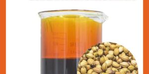 Coriander Oleoresin