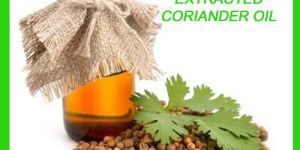 Coriander CO2 Oil