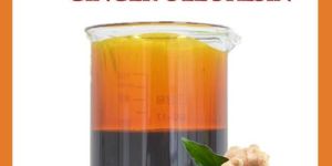 Ginger Oleoresin