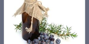 Juniper Berry CO2 Oil