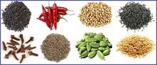 Spices