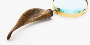 Magnifying Glass Goat Horn Handle