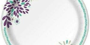 Colourful Paper Plates