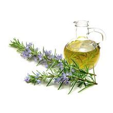 Pure Rosemary Essential Oil