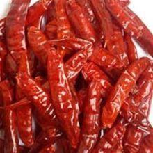 Dry Red Chilli