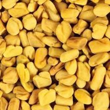 Fenugreek