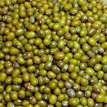 Green Moong Lentils
