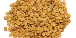 Fenugreek