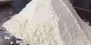 Dehydrated White Onion Powder