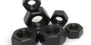 Hex Nuts