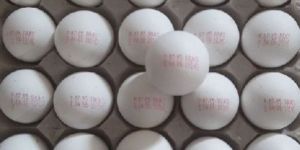 Poultry Eggs