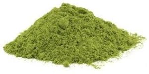 Moringa Powder