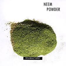 Neem Powder