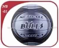 Net Ball