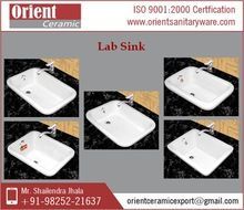Modern Commercial Lab Sink