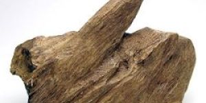 Agarwood Oil